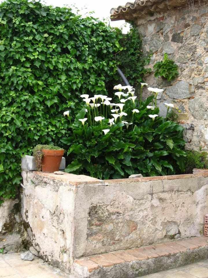 Villa Ca Landreu Ecoturisme Tiana Exterior foto