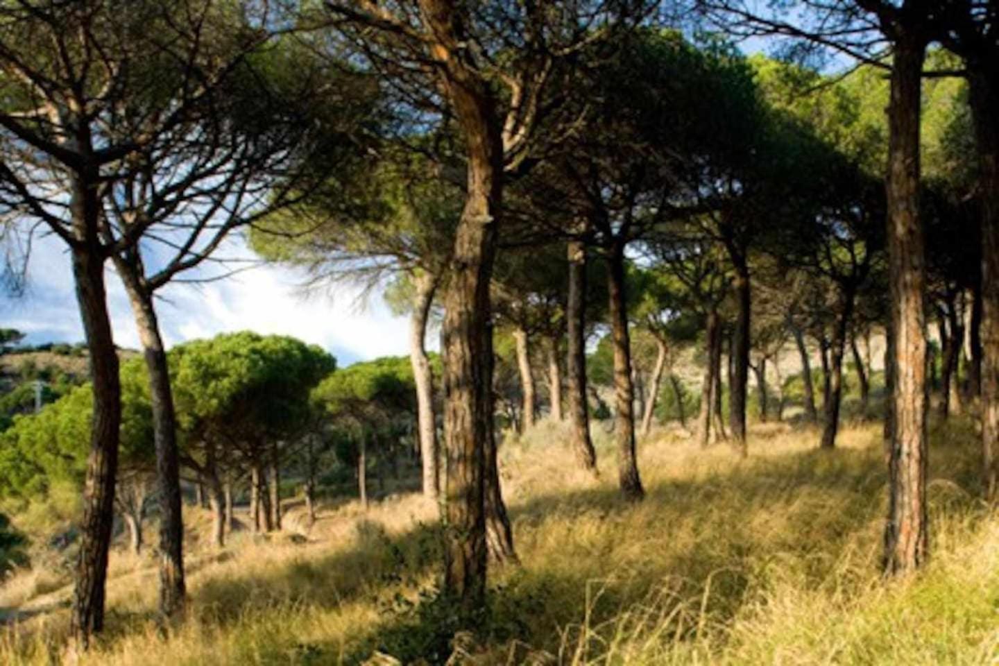 Villa Ca Landreu Ecoturisme Tiana Exterior foto